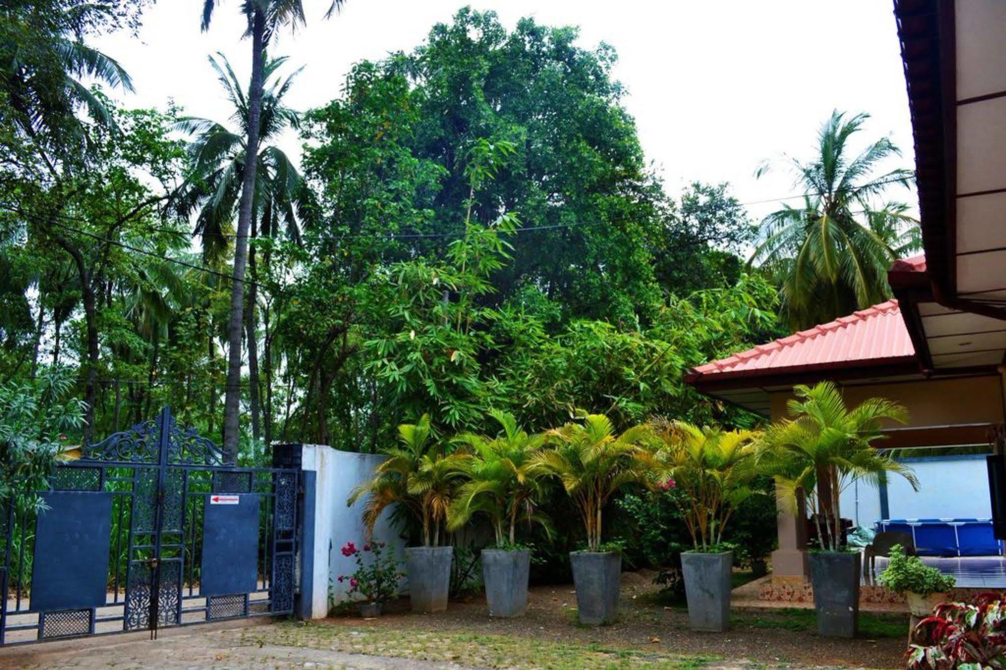 Dambulla City Hostel Esterno foto