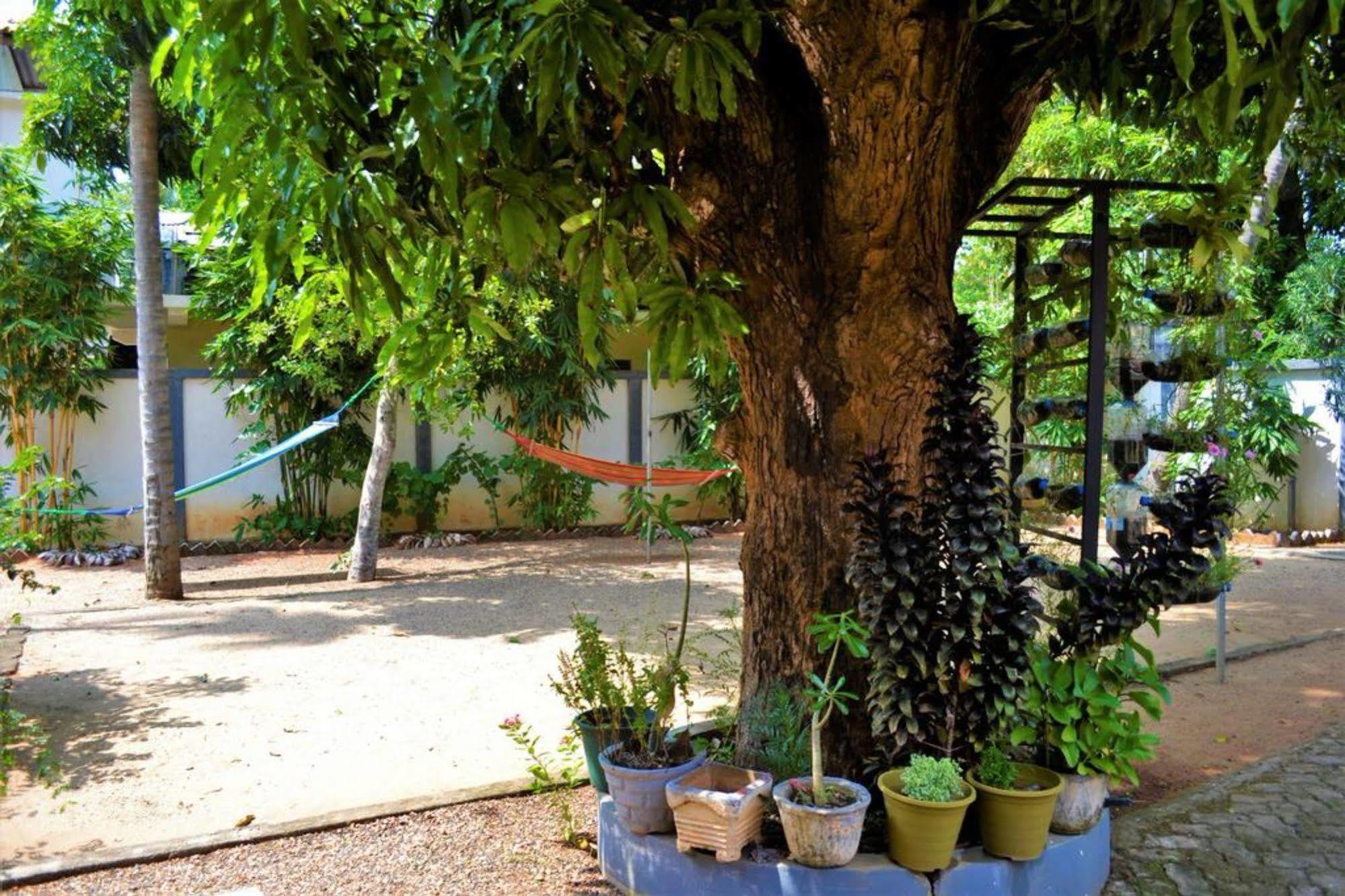 Dambulla City Hostel Esterno foto